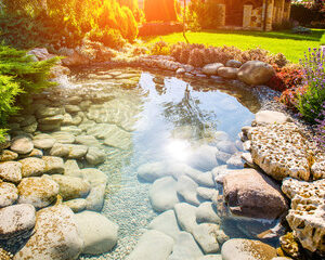 Landscaping